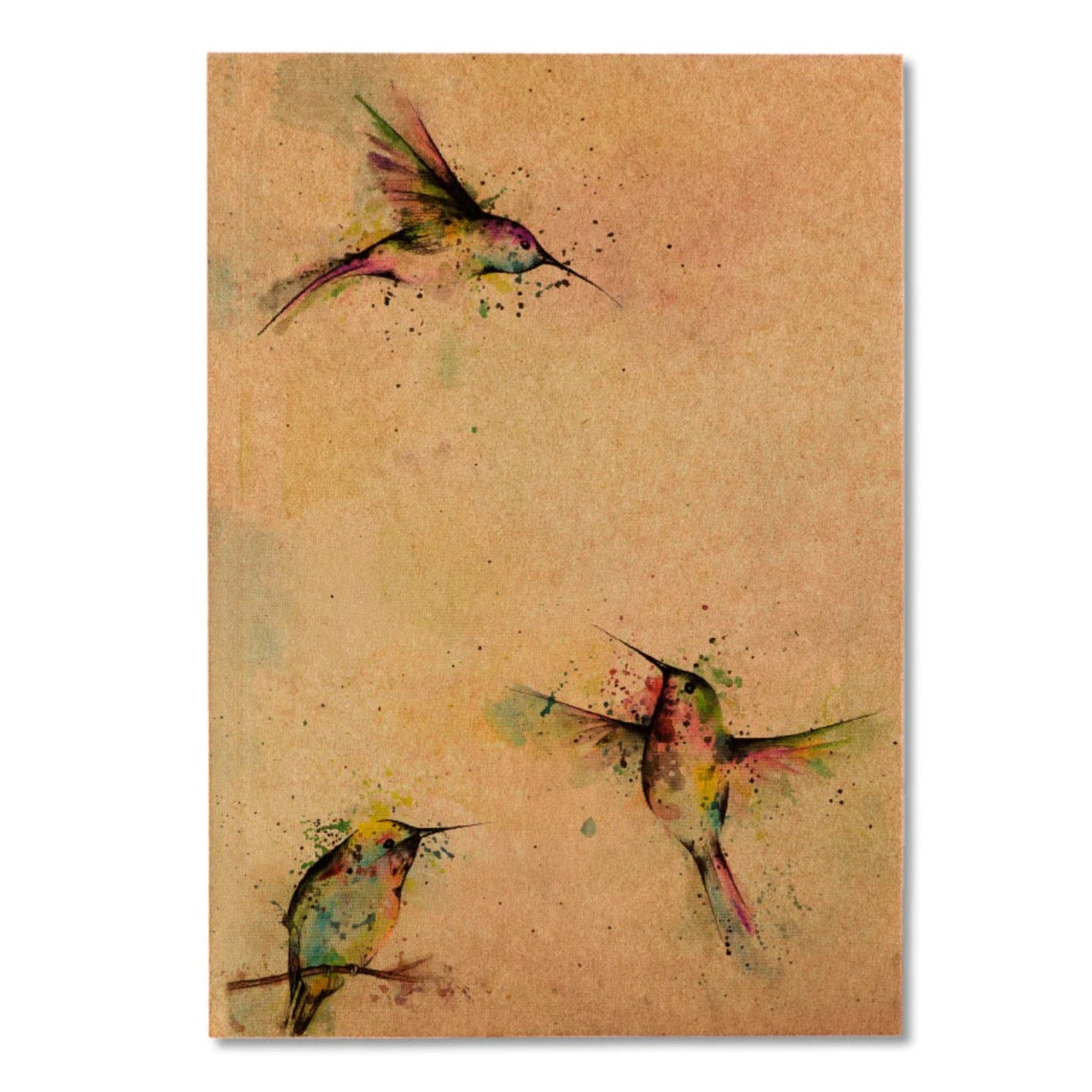 Notebook - Three Hummingbirds - RECYCLED PAPER