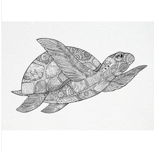 Postcard - Turtle