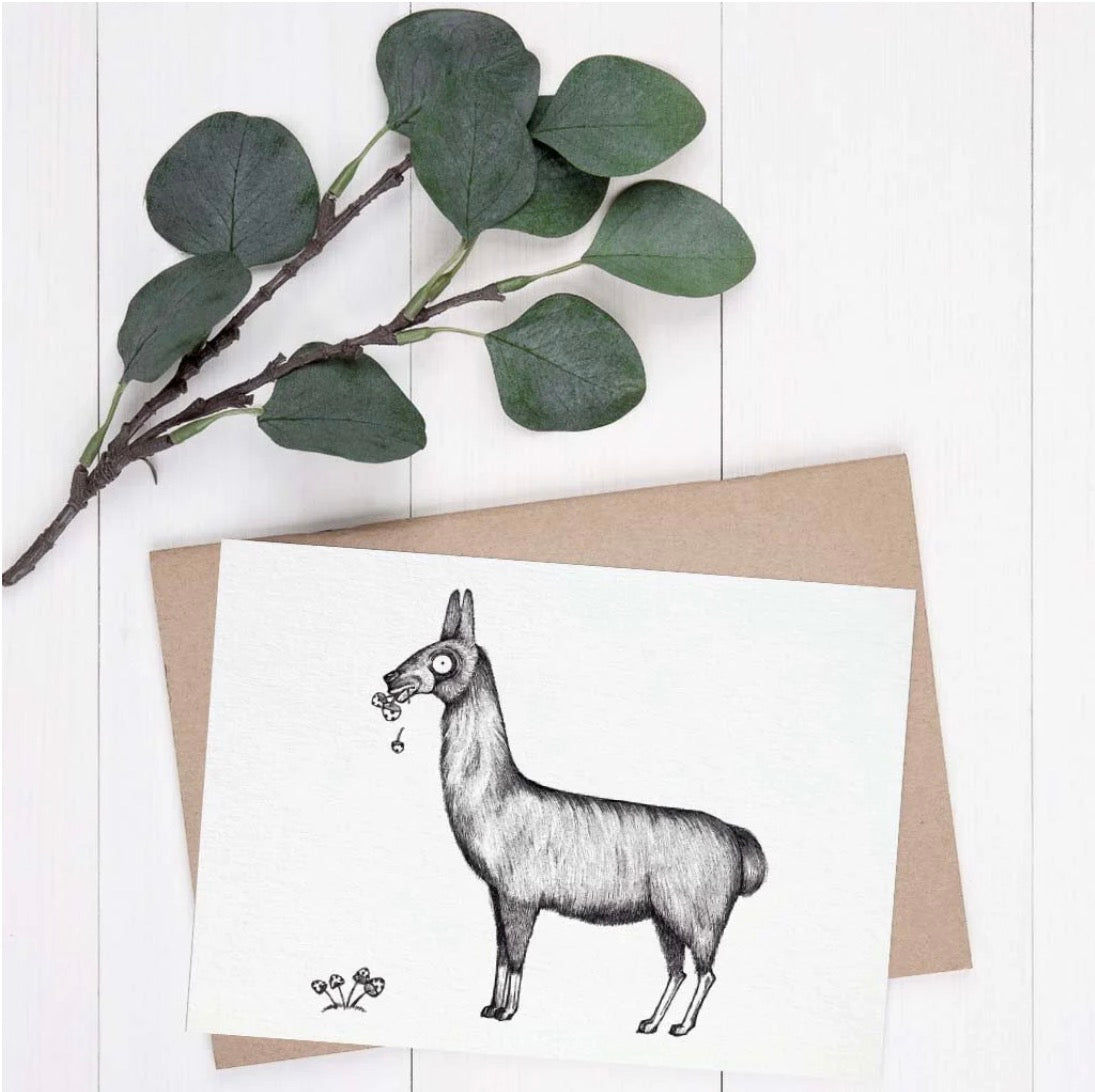Postcard - Llama