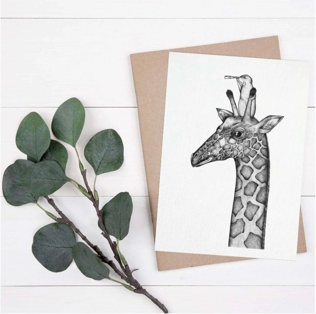 Postcard - Giraffe and Meerkat