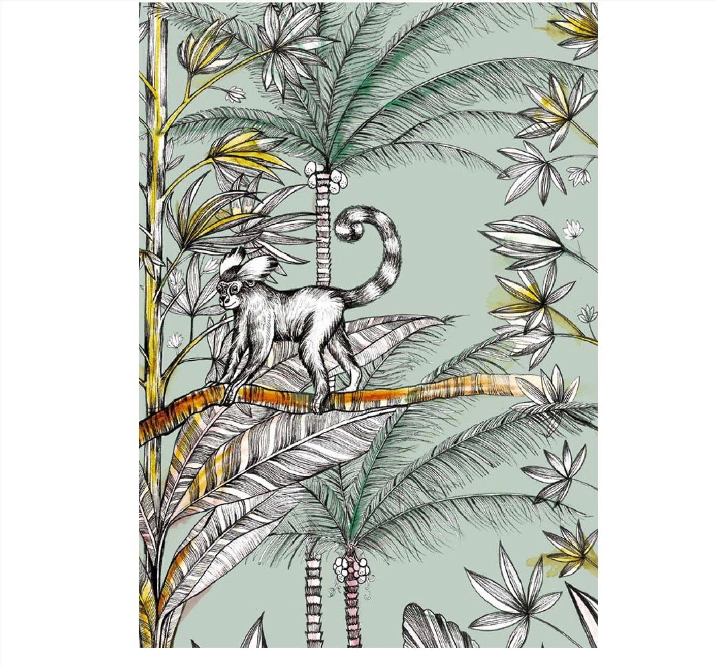 Postcard - Monkey