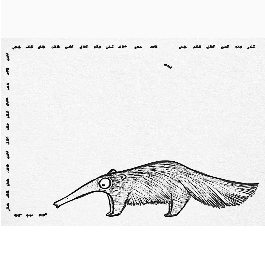 Postcard - Anteater