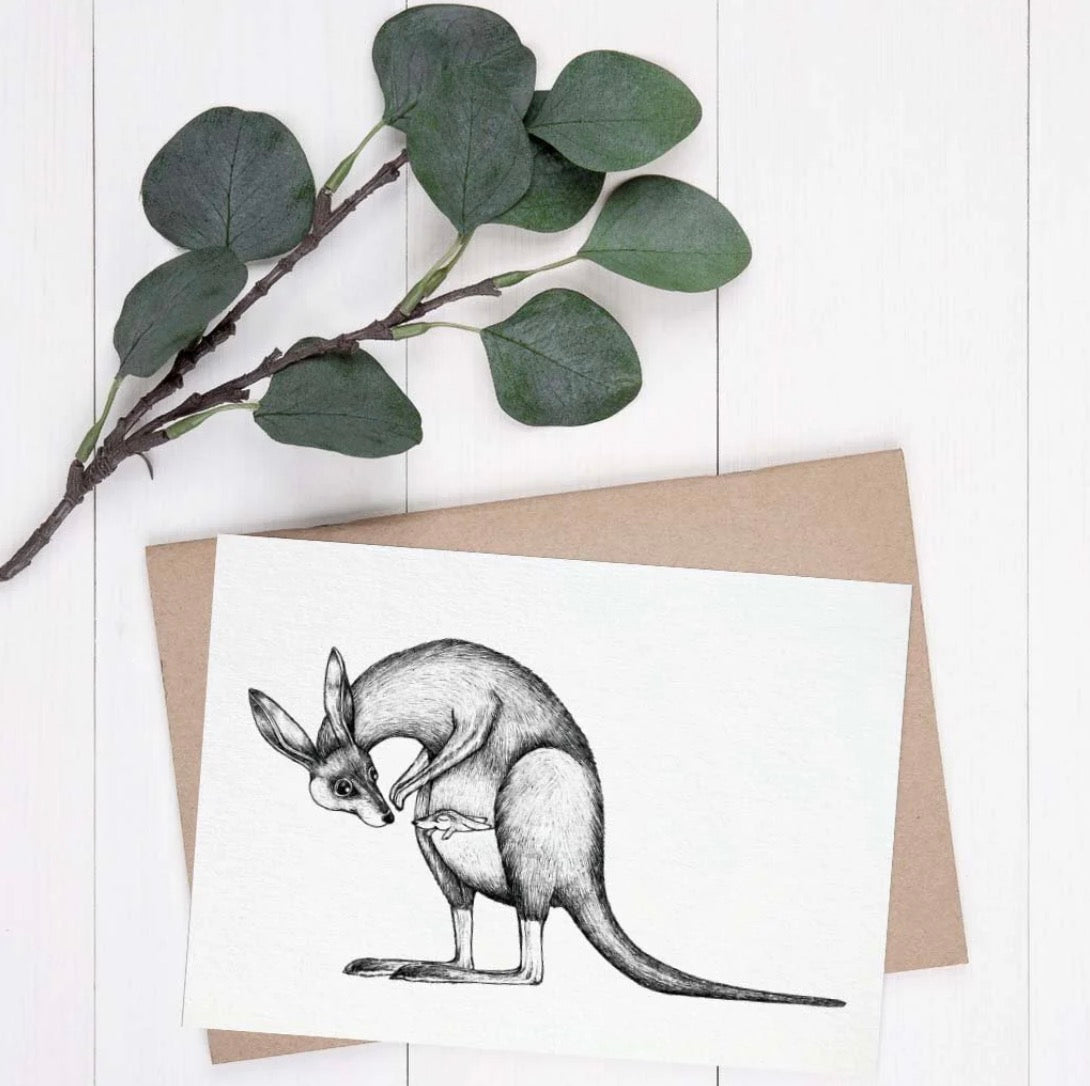 Postcard - Kangaroo