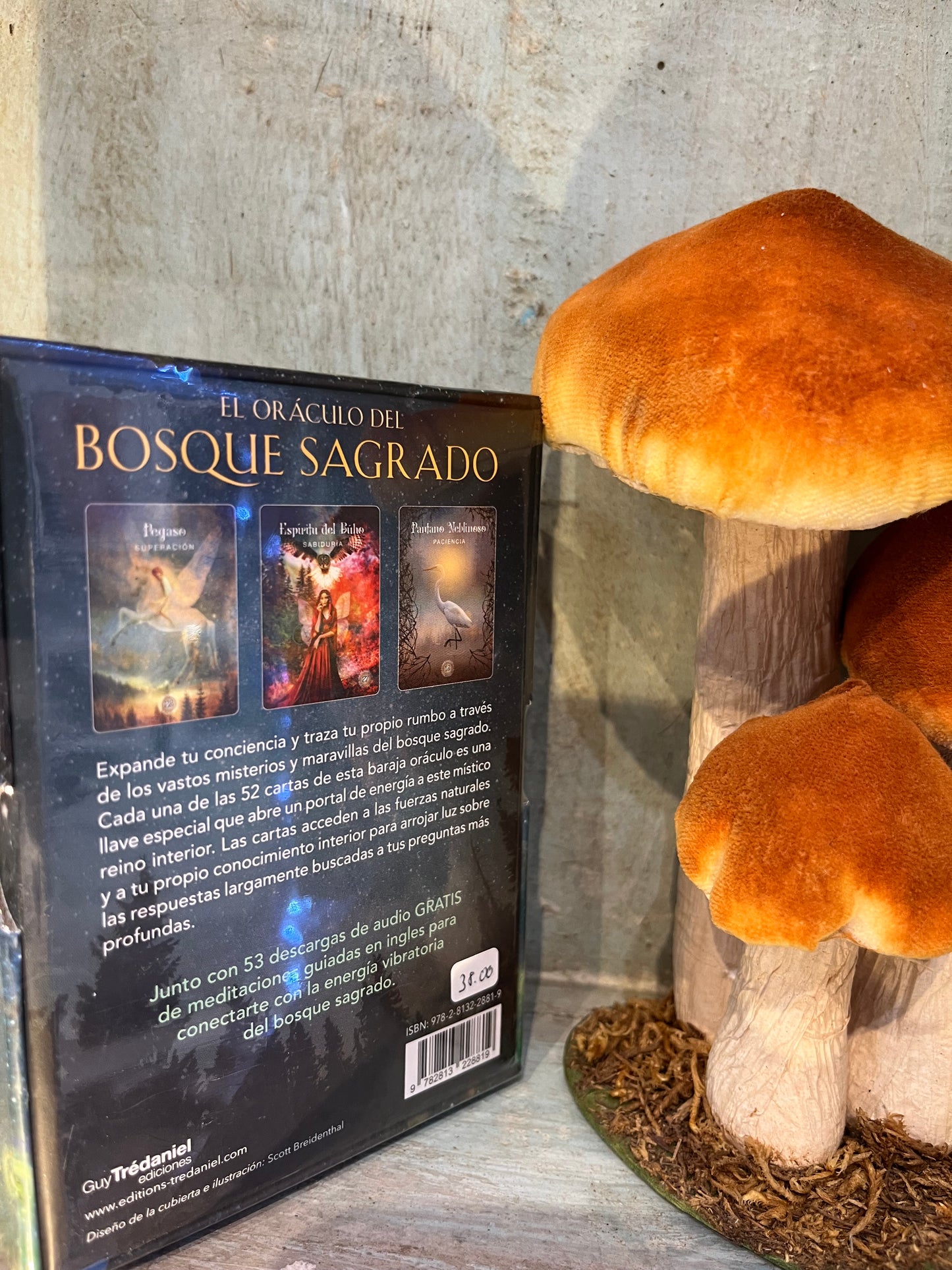 EL TAROT DE LA BENEVOLENCIA, Colette BARON-REID – Spanische Ausgabe