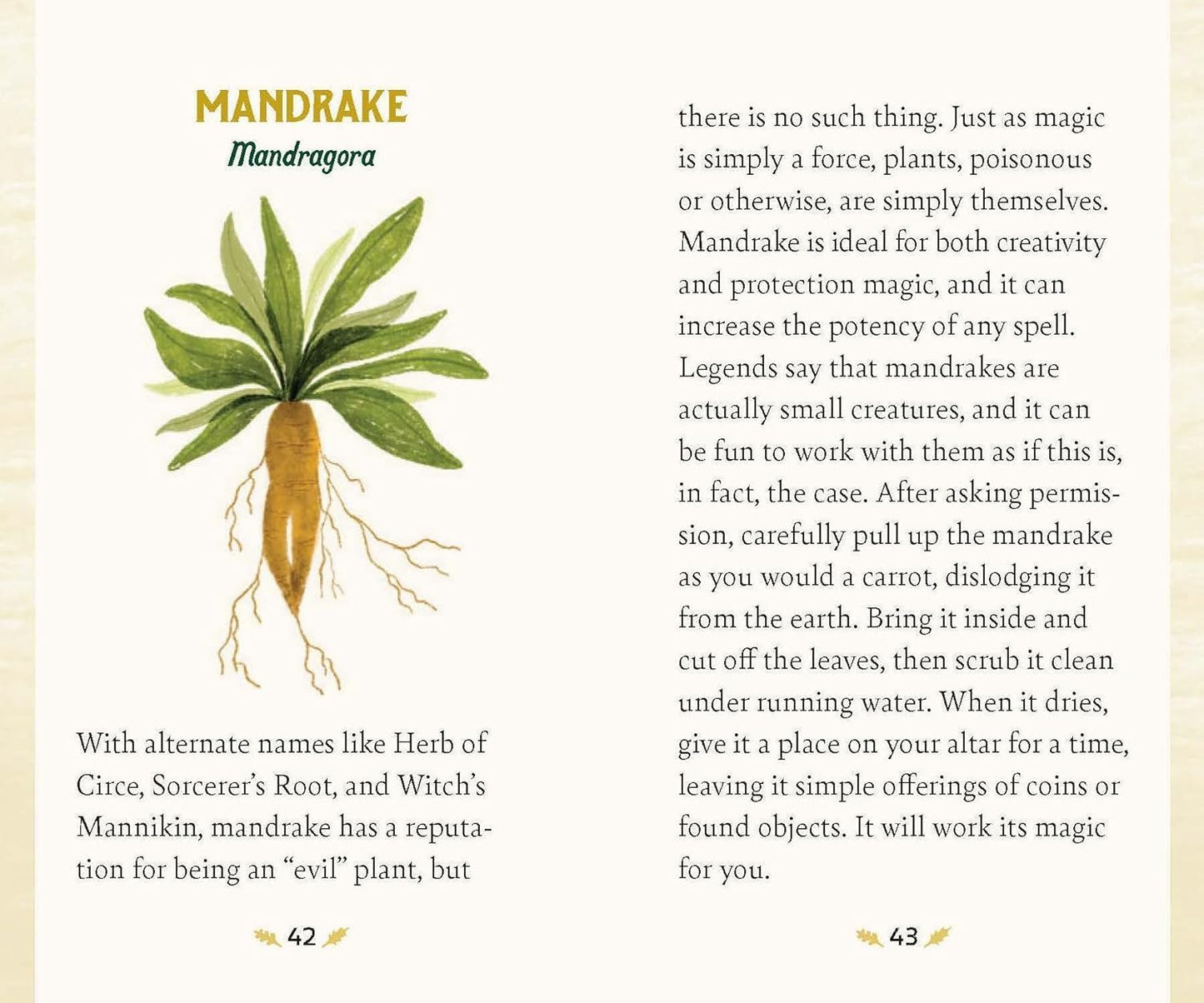 Forest Magic Oracle Deck by Nikki Van de Car- Illustrated by Elin Manon