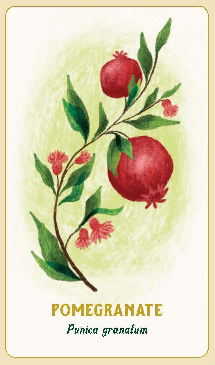 Forest Magic Oracle Deck by Nikki Van de Car- Illustrated by Elin Manon
