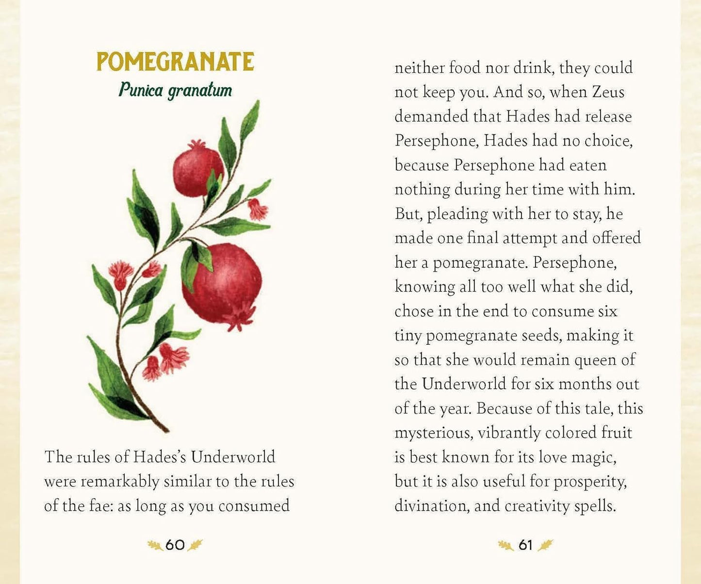 Forest Magic Oracle Deck by Nikki Van de Car- Illustrated by Elin Manon