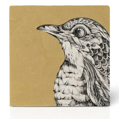 Natural stone art tile "Curiositas"
