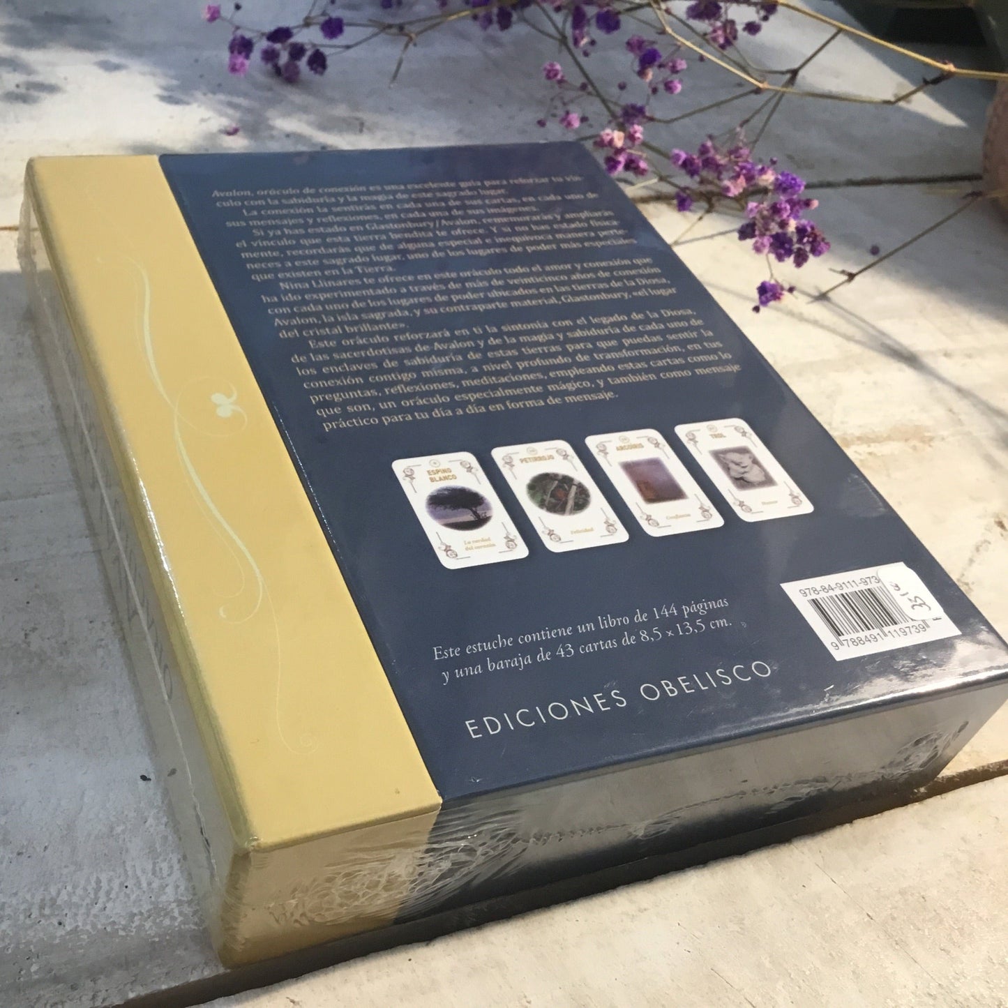 AVALON ORÁCULO DE CONEXION Y CARTAS - LLINARES, NINA - Spanish Edition