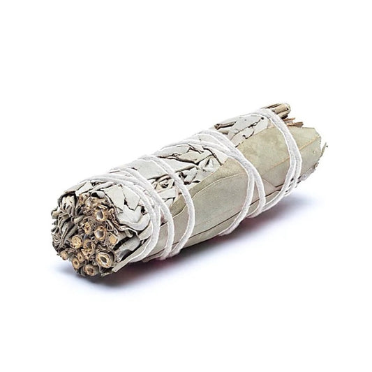 Sahumador de salvia blanca con eucalipto, juego de 2, ±10-11 cm, PROTECCIÓN Y PURIFICACIÓN 