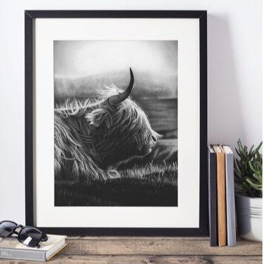 LIMITED EDITION PRINTS - Highland Cow - Fine art Giclee
