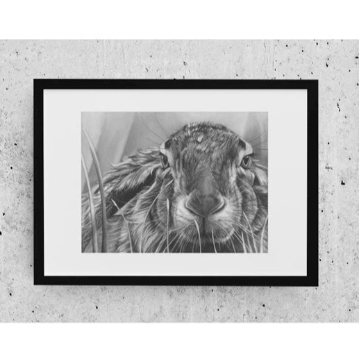 LIMITED EDITION PRINTS - Hare in the grass - Fine art Giclee