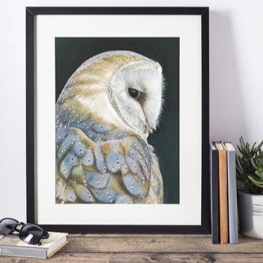 LIMITED EDITION PRINTS - Barn Owl in colour - Fine art Giclee