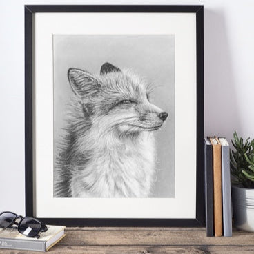 LIMITED EDITION PRINTS - Fox - Fine art Giclee