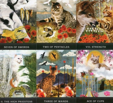 Grimalkin's Curious Cats Tarot - MJ Cullinane-Hay House