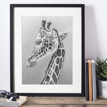 LIMITED EDITION PRINTS - Giraffe - Fine art Giclee