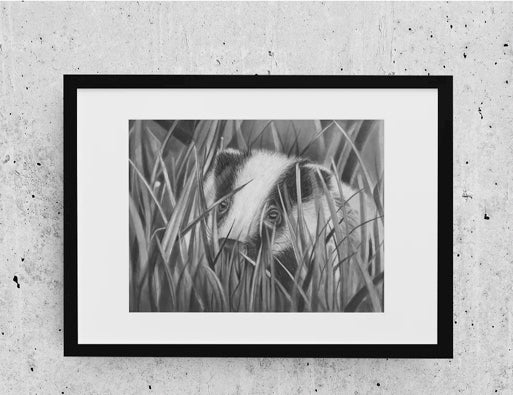 LIMITED EDITION PRINTS - Badger in Grass- Fine art Giclee
