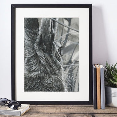 LIMITED EDITION PRINTS - Hare back - Fine art Giclee