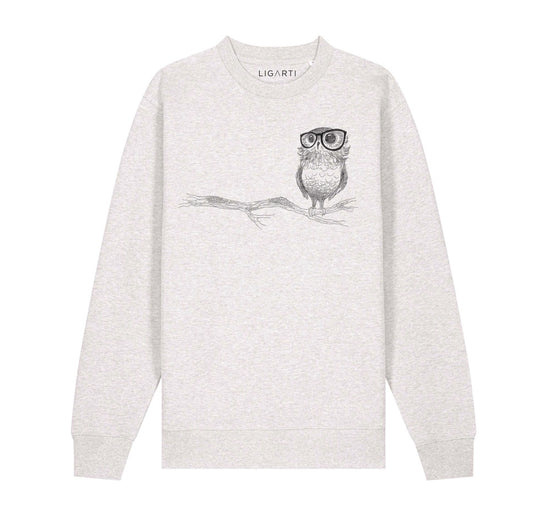 Pullover „Das Chamäleon“ aus Bio-Baumwolle 
