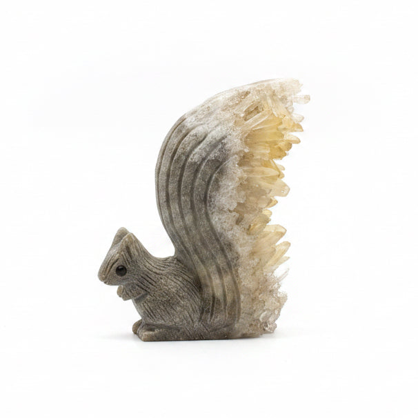 Natural squirrel