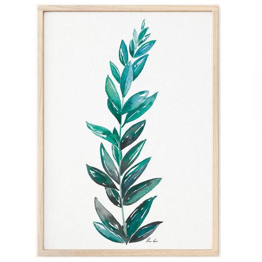 Premium Art Print  - Zamioculcas