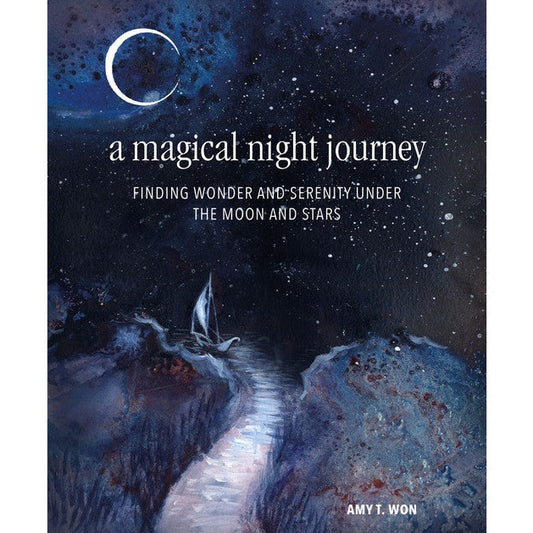 A Magical Night Journey Under The Moon & Stars - Amy T. Won RPS and CICO Books