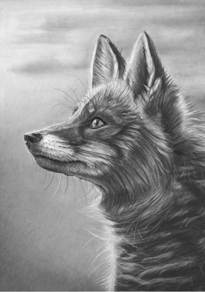 DRUCKE IN LIMITIERTER AUFLAGE - Alert Fox - Fine Art Giclée