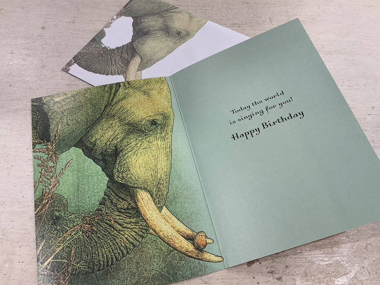 Elephant —  Greeting Card ( Birthday)