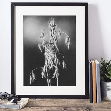 LIMITED EDITION PRINTS - Harvest Mouse Oat grass- Fine art Giclee