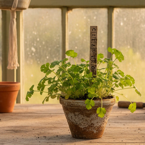 Handmade Ceramic Herb Plant Markers – Spanish Collection