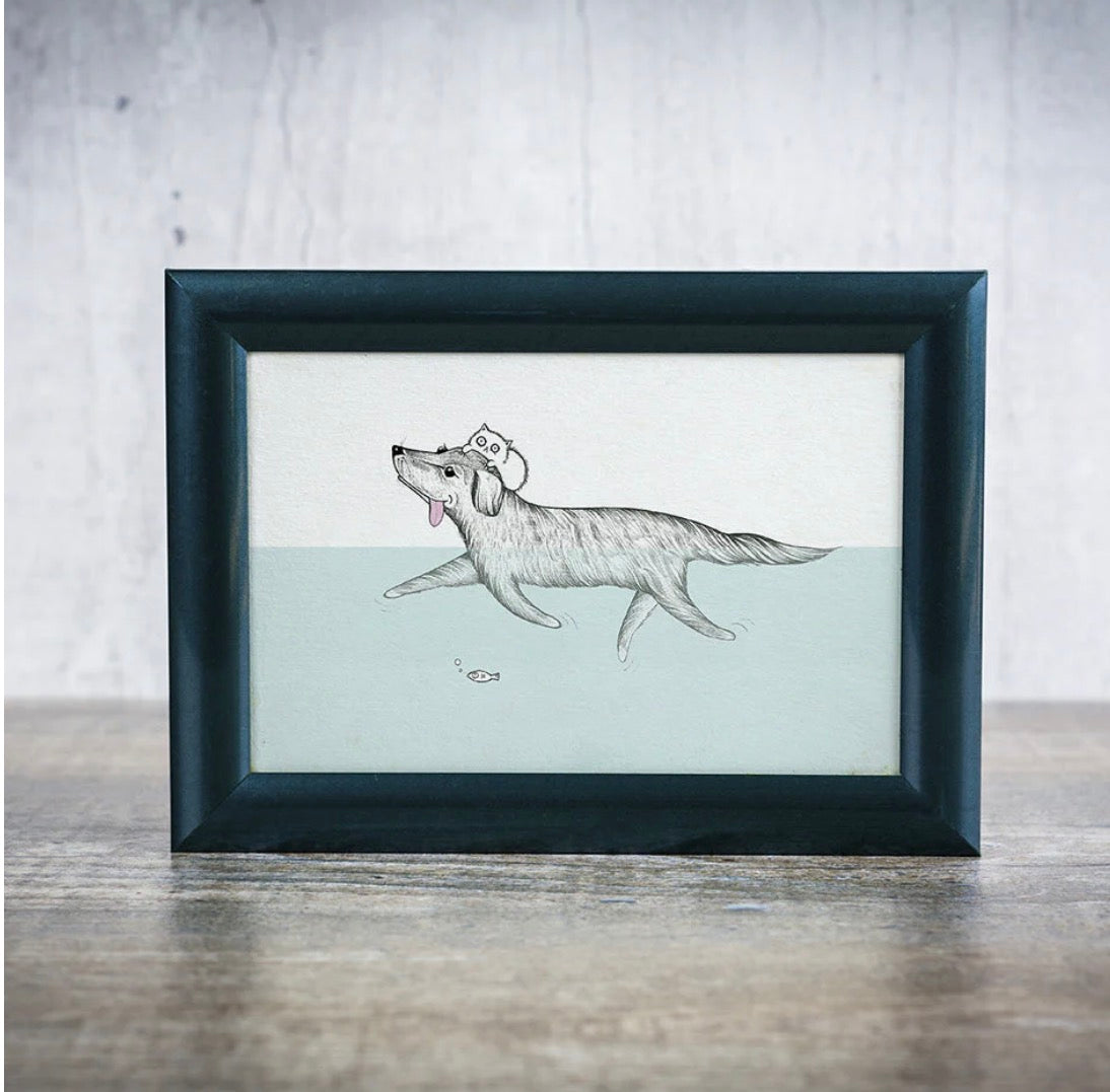 Postcard - Lifeguard dog swimming