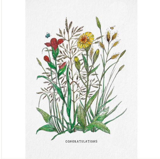 Postcard - Congratulations - Flowers