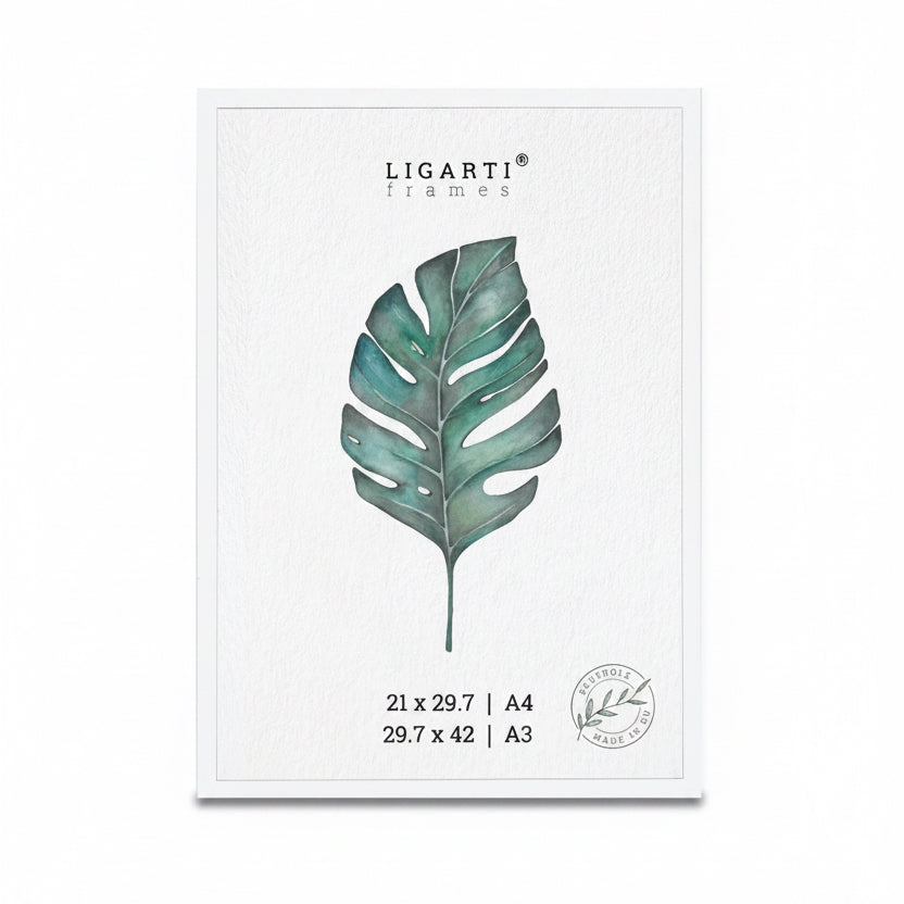 Picture Frame | White