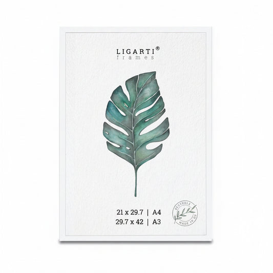 Picture Frame | White
