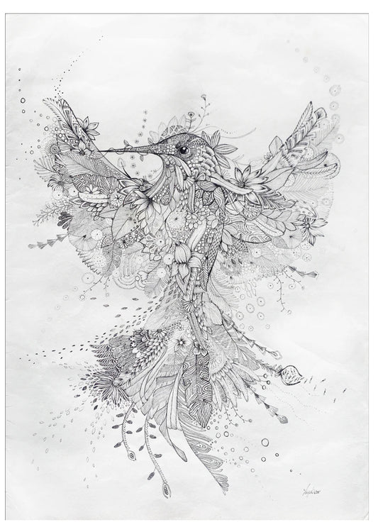 Intricate original hummingbird drawing by Hanna Ligeti, hand illustrated in fineliner with delicate flowers, feathers and botanical details on premium watercolour paper.
