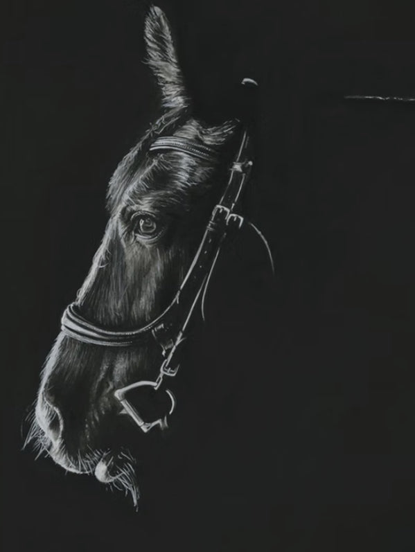Horse Profile- Limited Edition Print