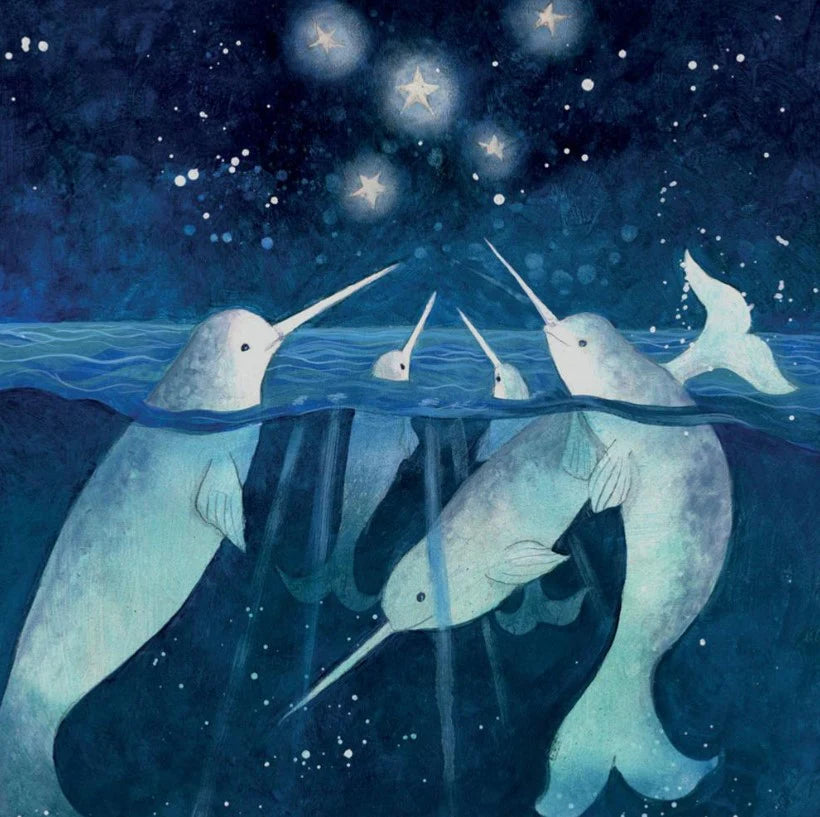 Narwhals  —  Greeting Card (No message)