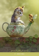 Barbieri Fantasy Cats Oracle- Casa Scarabeo