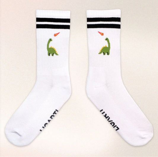 Charlie Dinosaur Socks