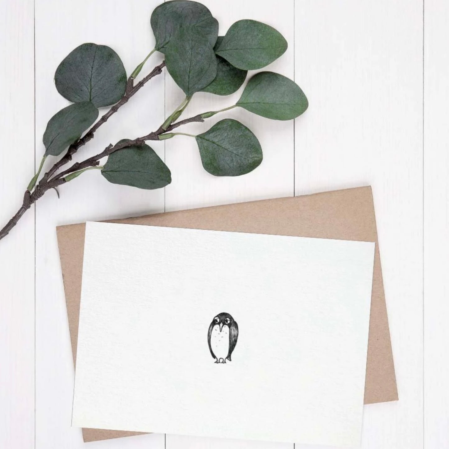 Postcard - Penguin Drama