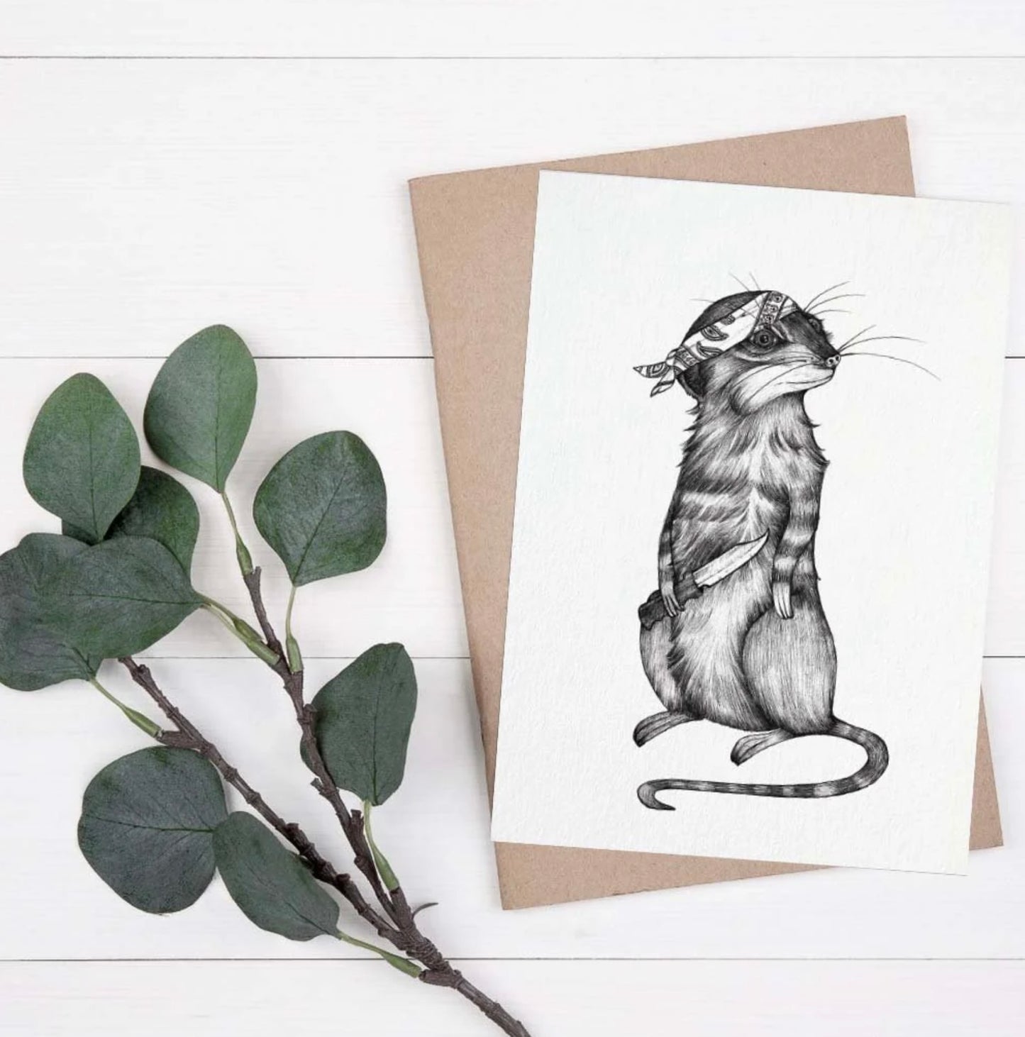Postcard - Meerkat toni knife